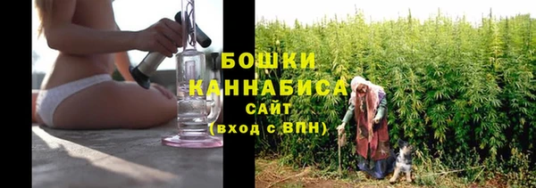 гидропоника Бородино