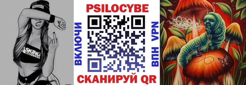 Галлюциногенные грибы Psilocybe площадка какой сайт Новоржев