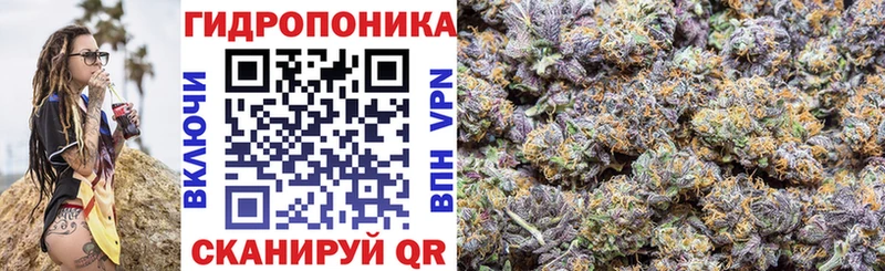 Бошки Шишки White Widow  Новоржев 